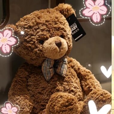  Soft Teddy Bears with Flower Bouquet, 8-Inch Cute Plush Doll for Girlfriend