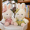 Mocha Teddy Bear Plush Toy with Rabbit Doll Design, Comforting Soft Toy for Kids