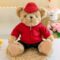 Custom Logo Teddy Bear Plush Toy – Branded Bear Doll for Gifts & Wholesale