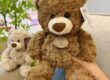 Soft Teddy Bear Plush Toy – Cuddly Bear Doll for Girls & Wholesale Gifts