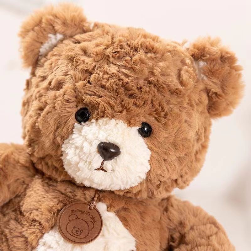 Cute Soft Teddy Bears Plush Toy for Girls Birthday Gift