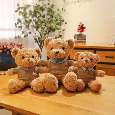 Soft Teddy Bears with Shirt – Plush Sweater Bear for Kids and Girls